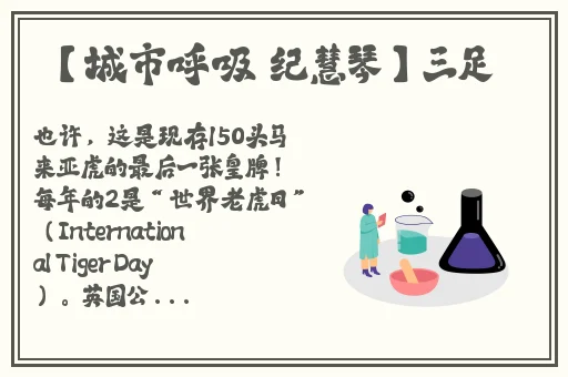 国产无人区玫瑰香蕉
